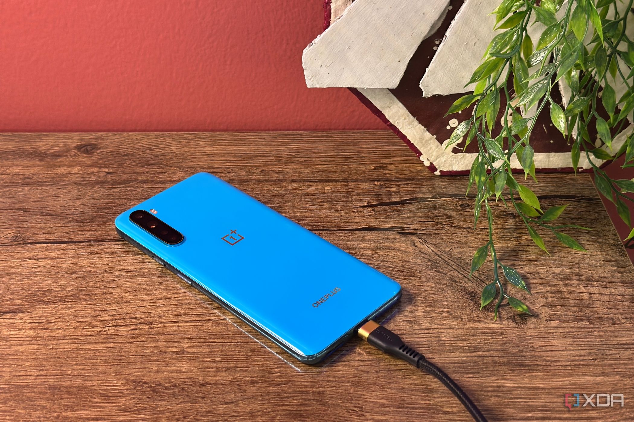 Ho rovinato il mio OnePlus con un cavo USB-C da 5 euro
