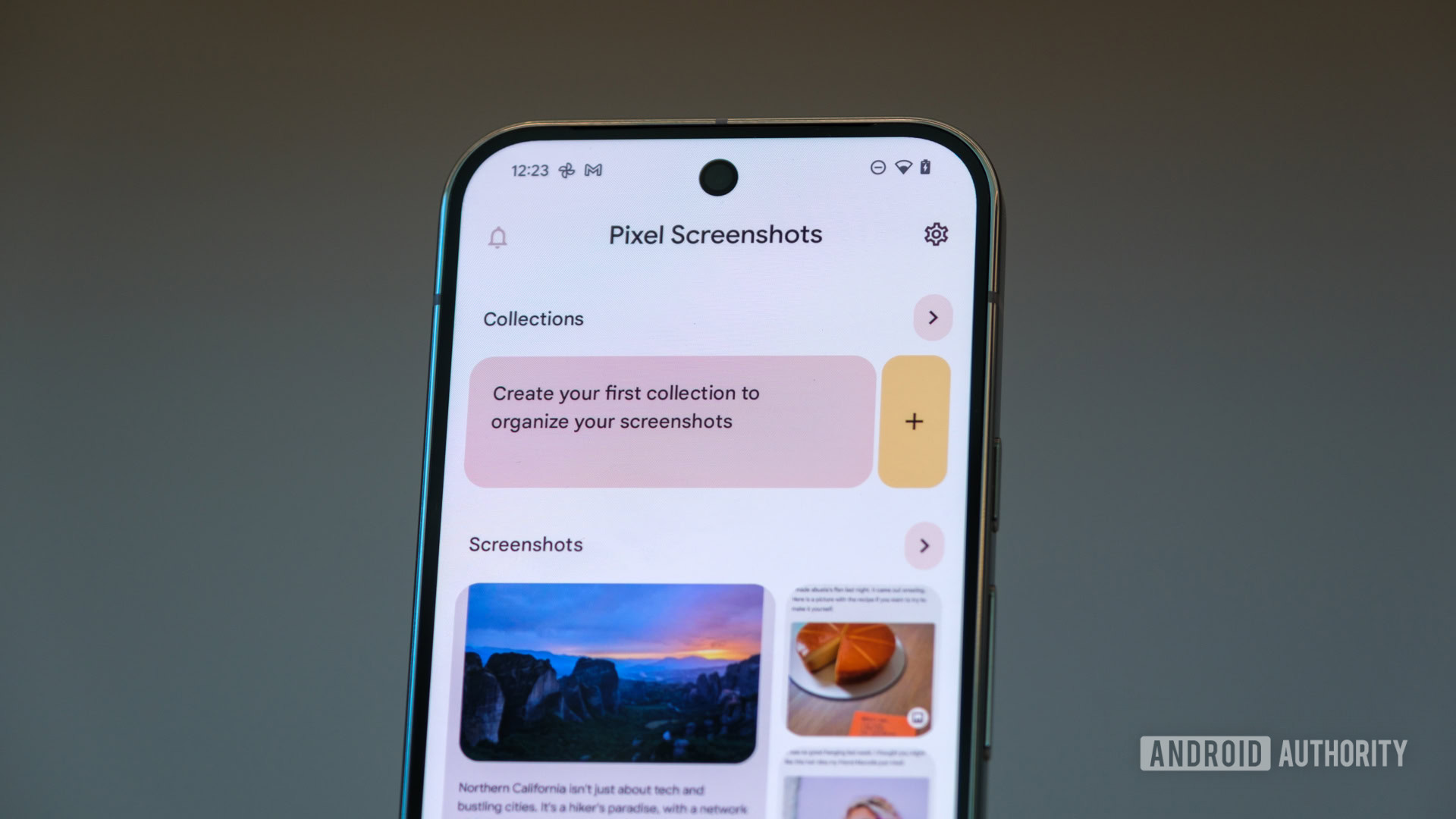 Google Pixel Screenshots: arrivano i filtri per organizzare gli screenshot